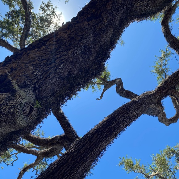 Meet the Posher Handbags - About the seller: